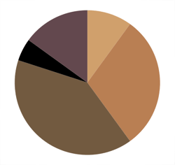 Addison-Color-Wheel
