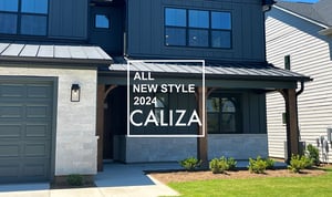 Caliza Banner-1