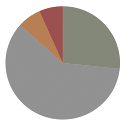 Canyon Gray