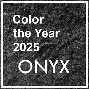 Color of the Year onyx