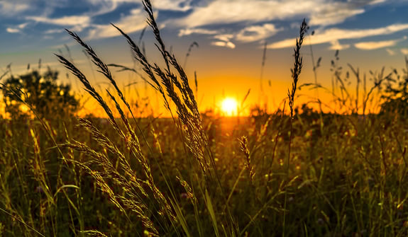 Grassy-Butte
