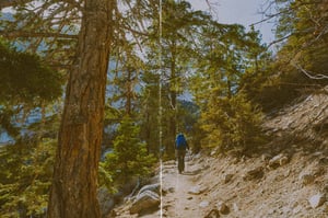 Hiker-QSV-2-Web