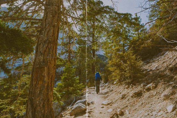 Hiker-QSV-2-Web